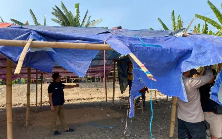 Polisi Gerebek Dugaan Arena Sabung Ayam di Sidowungu Gresik, Bangunan Langsung Dibongkar